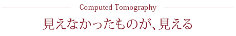 Computed Tomography見えなかったものが、見える